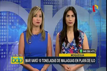 Moquegua: el mar varó 10 toneladas de malaguas en playa de Ilo