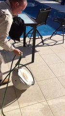 Brown Snake in Hose Reel