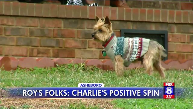 Dog Greets Kids on North Carolina School Bus Every Day