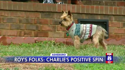 Dog Greets Kids on North Carolina School Bus Every Day