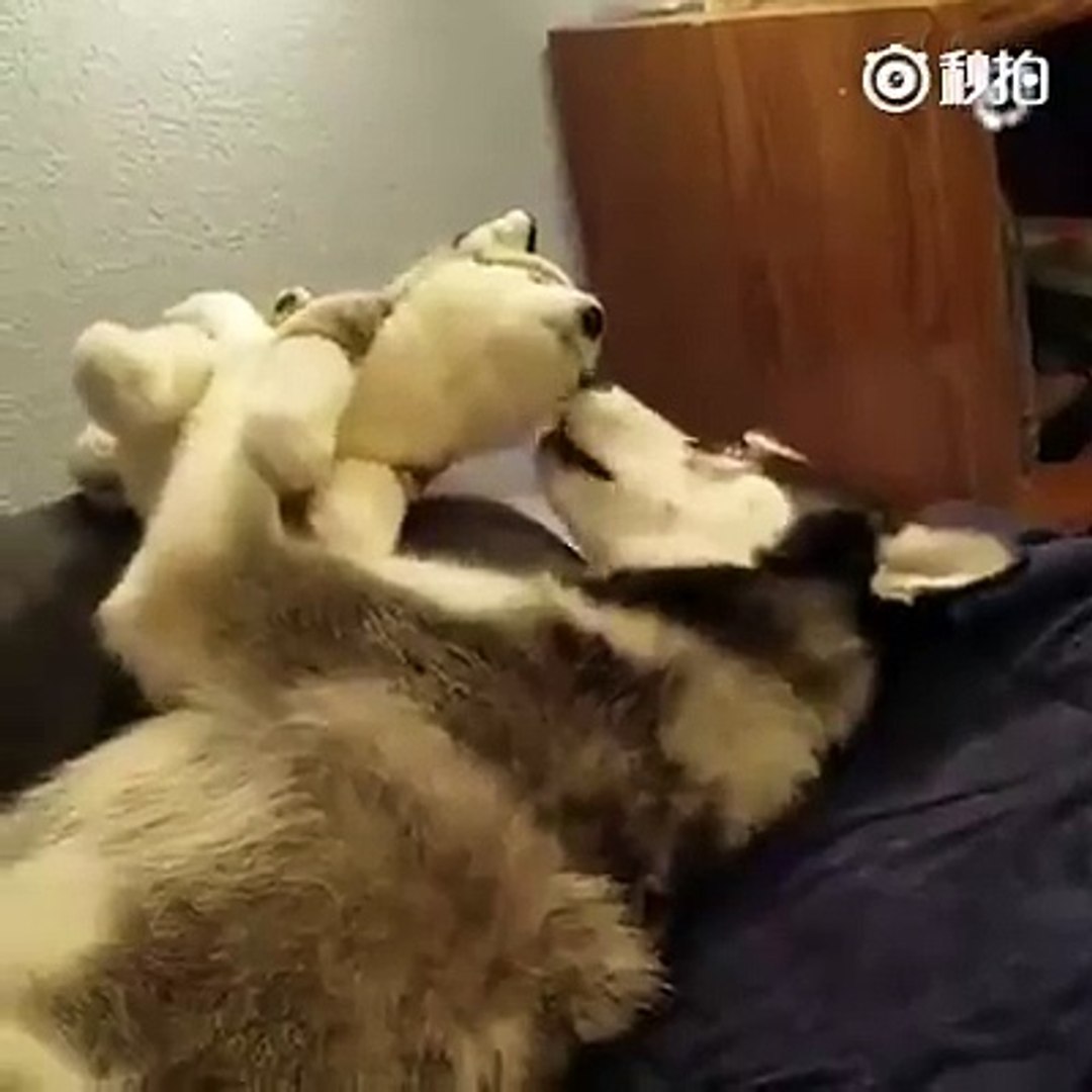 ⁣你為什麼不說話 | 皇璽會娛樂城 www.9453club.com..