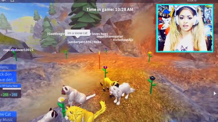 MY ROBLOX SHARK CAT IN REAL LIFE! | Roblox