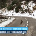 En descendant du ski, des élèves de Breil sont tombés sur un loup