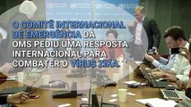 OMS declara vírus zika e microcefalia ‘emergência pública internacional’