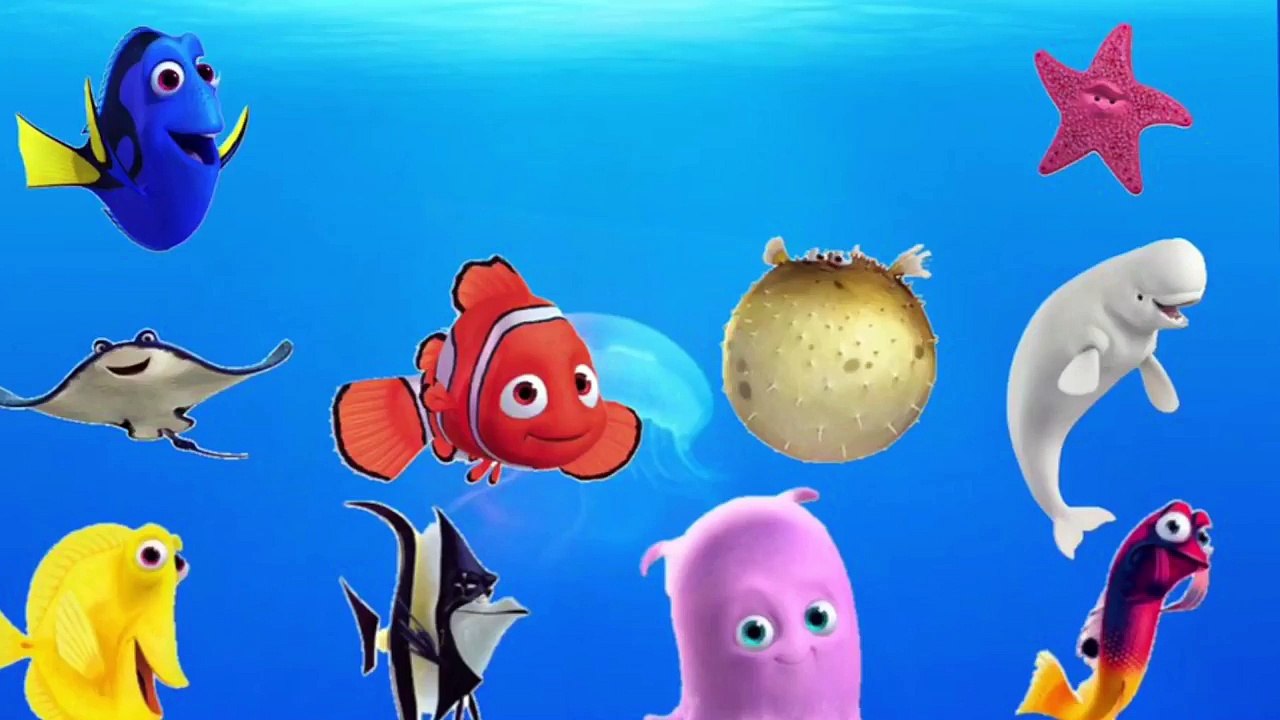 LEARN SEA ANIMALS & OCEAN WATER ANIMALS NAMES AND SOUND REAL SOUND