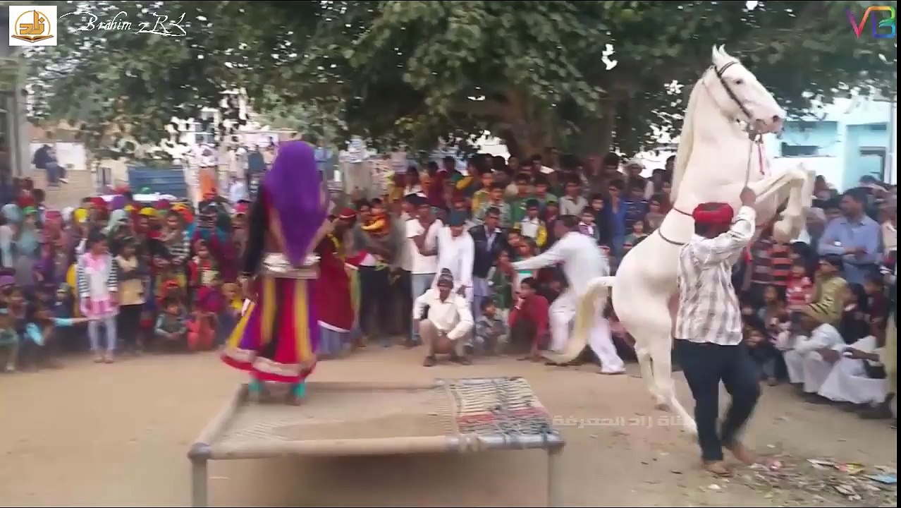 خيول مدربة مدهشة ! المعنى الحقيقي لمتعة العين لن تمل من المشاهدة