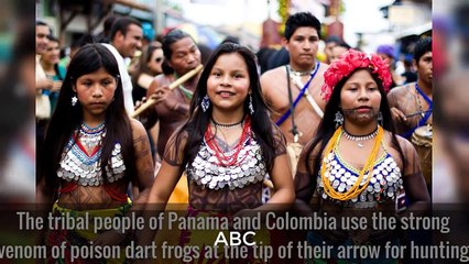 10 Cute Animals That Can Easily Take Your Life