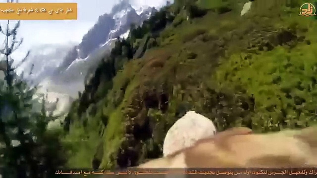 أقوى وأذكى اساليب العقـــاب العملاق المجـــنون في الهجـــوم على فرائـــسه !