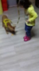 yavru-köpek-severken