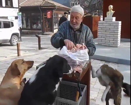 Her Gün Aynı Saat ve Aynı Yerde Sokak Köpeklerini Besleyen Güzel Yürekli Hacı Amcamız Vefat Etmiş, Mekanı Cennet Olsun