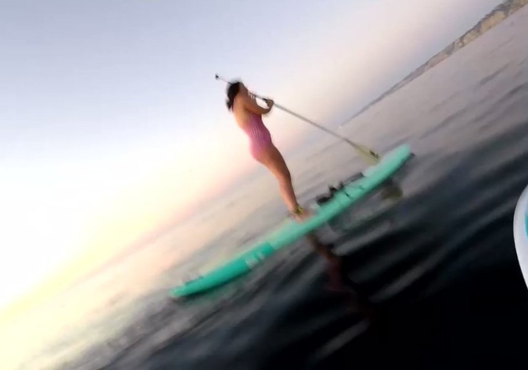 Paddleboarders Get Surprise Visit from Friendly Whale in La Jolla