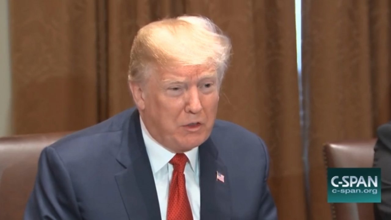 President Trump says he would 'love to see a shutdown' over immigration and border security reform