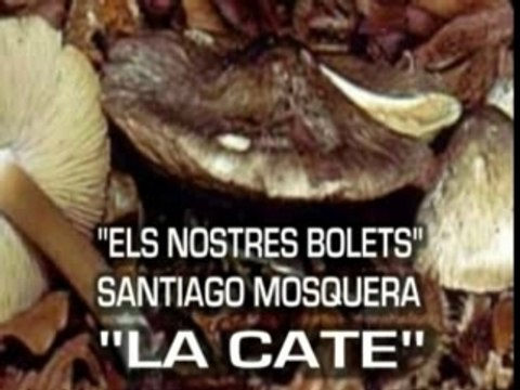 XERRADA BOLETS A LA CATE