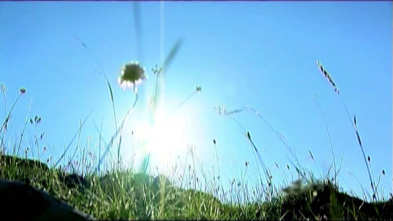 Mina Kostic i Igor X - Grudi od betona