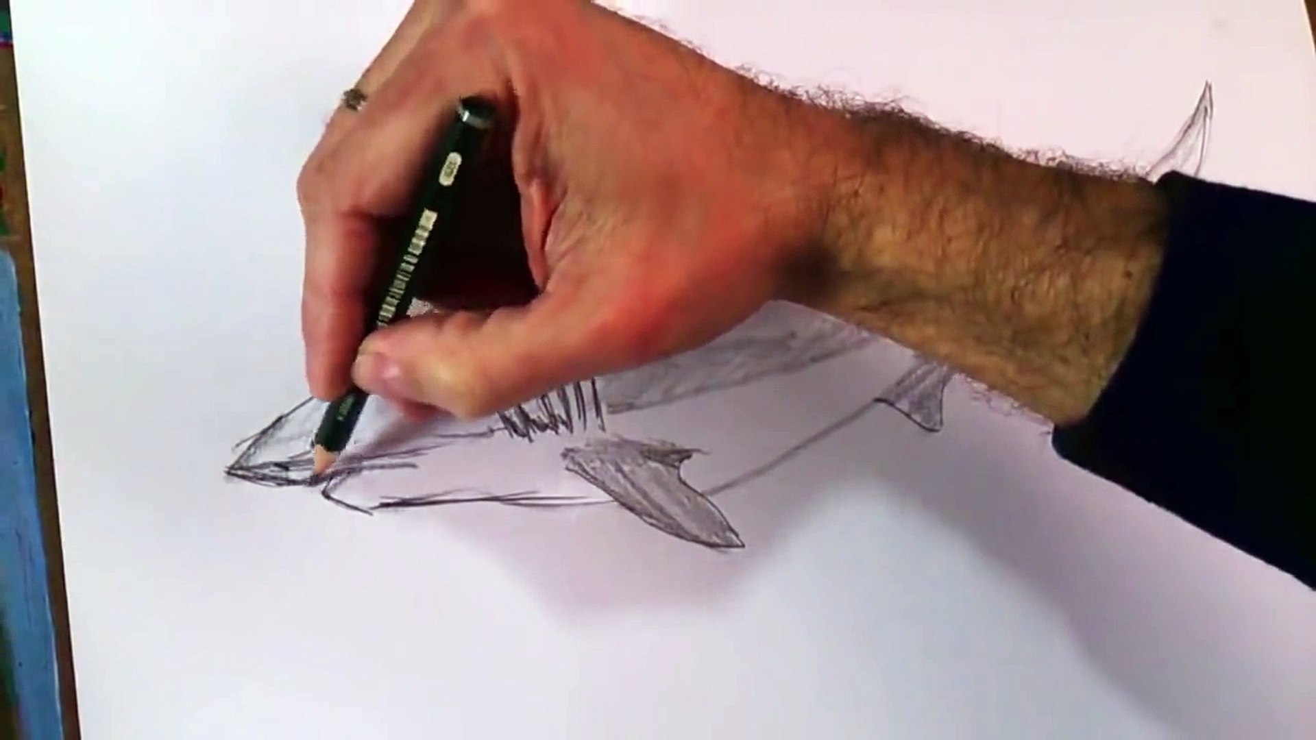 Como dibujar un tiburon a lapiz paso a paso: Tecnicas lápiz de grafito -  Vídeo Dailymotion