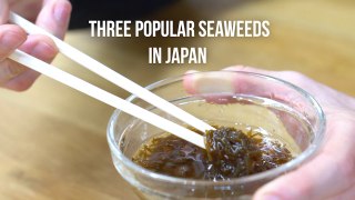 Three Popular Seaweeds In Japan That You Should Know About!