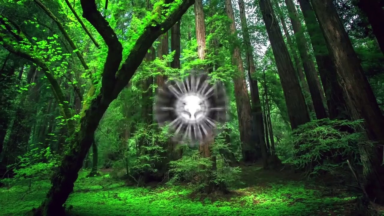 (2) Top Cats Vs. Cucumbers  Funny Cat Videos Compilation - Gatos Vs. Pepinos Vídeo Recopilación -