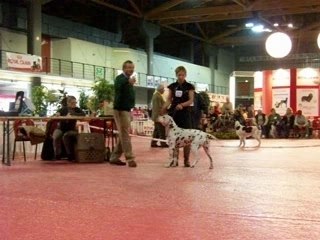 Saianou - Expo Martigues