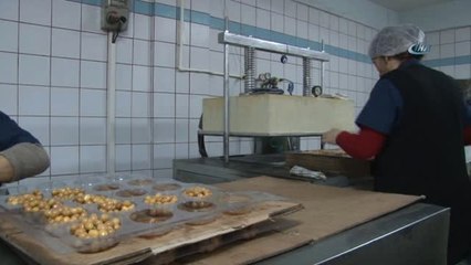 Zeytin Dalı'na Zeytin Diyarından Destek