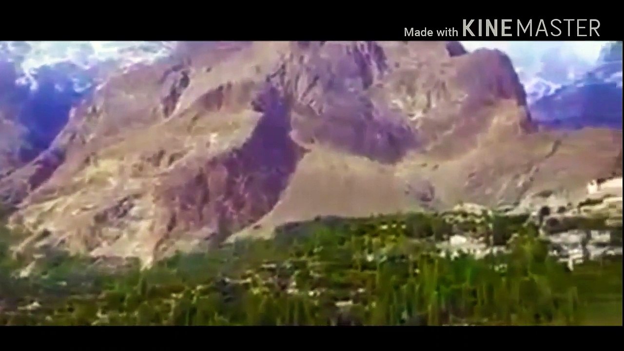 Kashmir Day Status