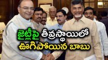 Chandrababu Lashed Out At Jaitley Over His Statement