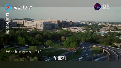 《極地長征 Eight Below》被探险者遗弃，雪橇犬们只能靠自己了