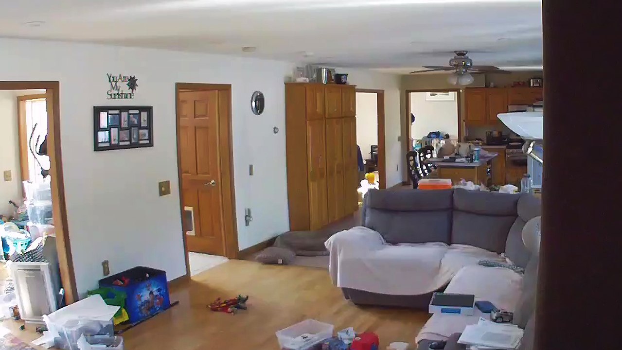 Un chien met le feu en volant des pancakes