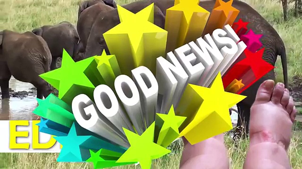 10 Warning Signs Your Liver Is Full of Toxins