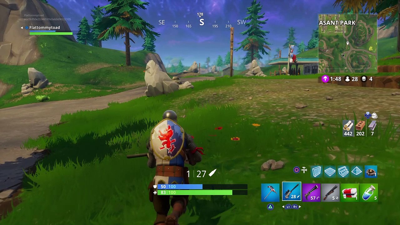 Fortnite_20180206135958