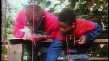 Mathematical Eye 1991
