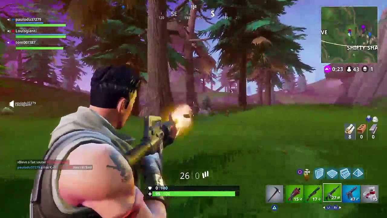 Fortnite (15)