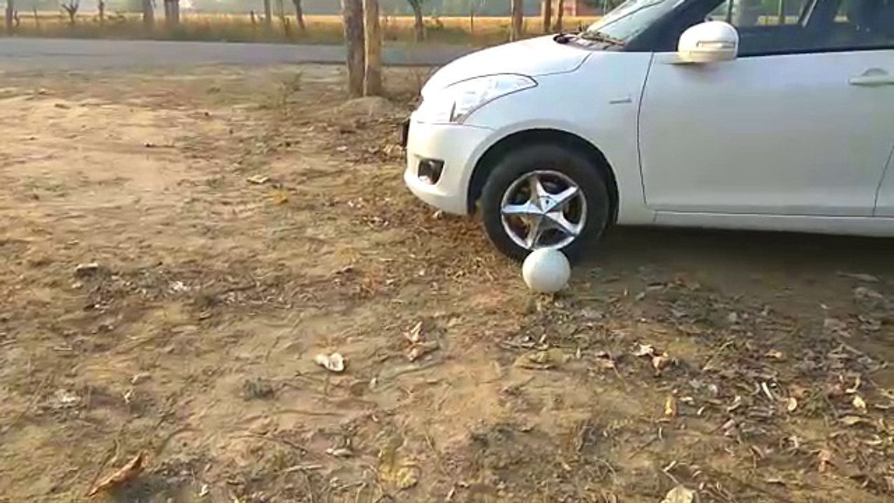 Amazing video 2018
