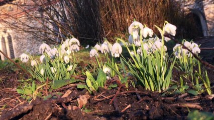 Abraham Hicks - Morning Meditation 2018 #3