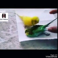 Pyar se juda hona itna asan nahi