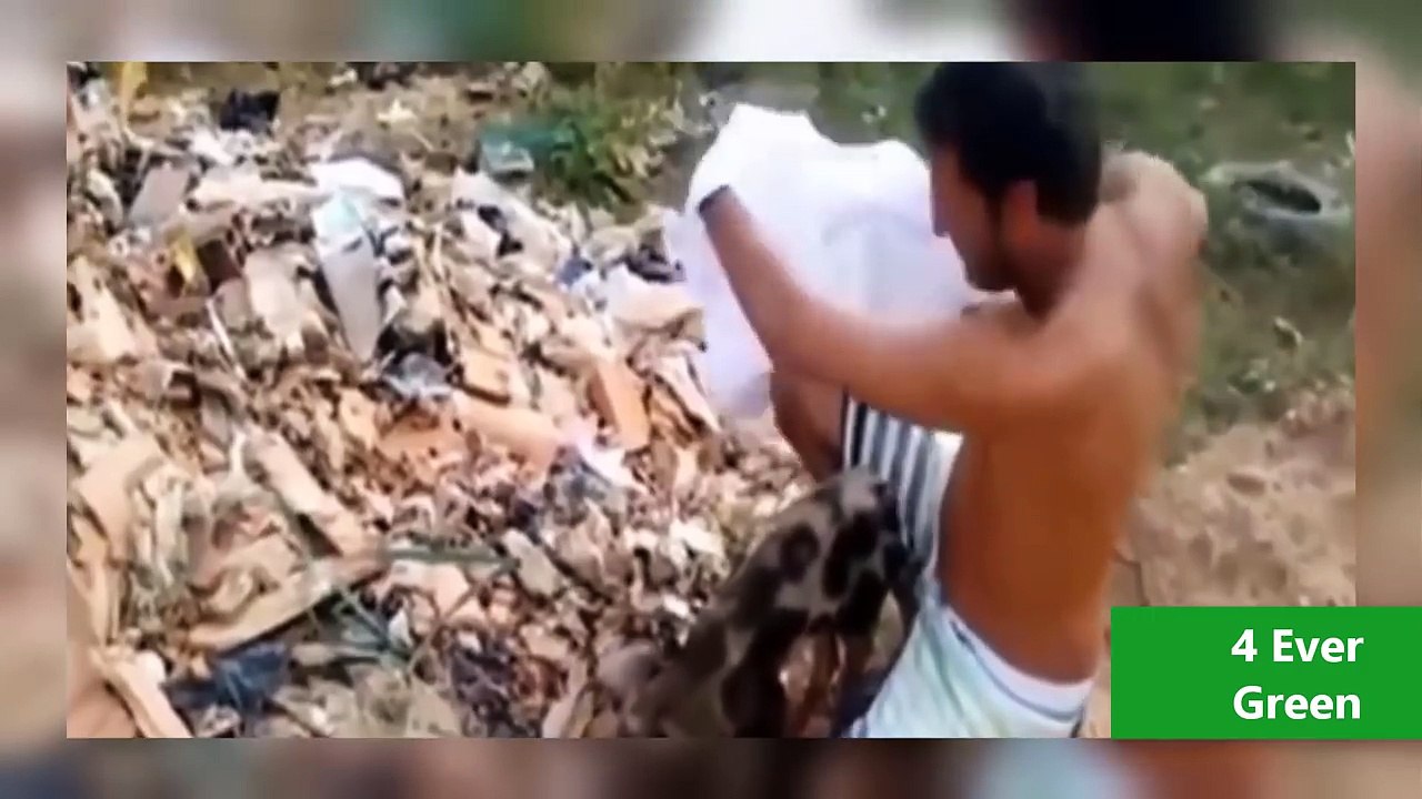 Great Man Saving Abused Animals