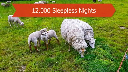 10 Incredible Humans With Real Super Powers