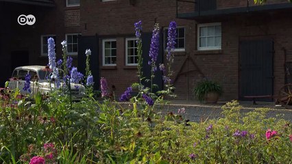 Autolegende: Renault R4 | DW Deutsch