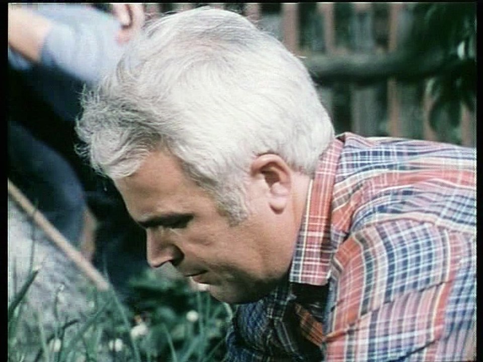 Ich fliege - und das macht mich stolz!