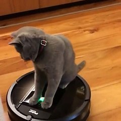 Can't get off this thing