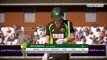 Australia vs England, 2nd T20 Match 2018 | Aus vs Eng | Don Bradman Cricket 2017 Gameplay