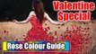 Rose Day - Which Color Rose To Give On Valentine's Day | OneIndia News