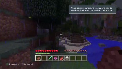 MON PREMIER MINECRAFT LIVE DAILYMOTION (11)