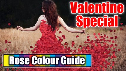 Rose Day - The Complete Valentine Day Rose Colour Guide | BoldSky