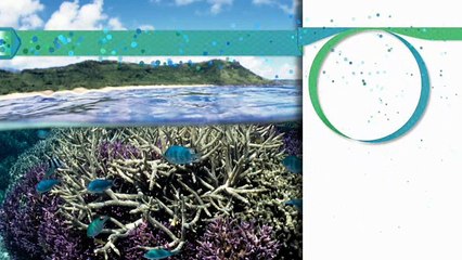 Oxford Discover Level 4 Big Question 9 Why Are Biomes Important 1