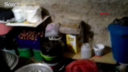 Beyoğlu'nda midye operasyonu