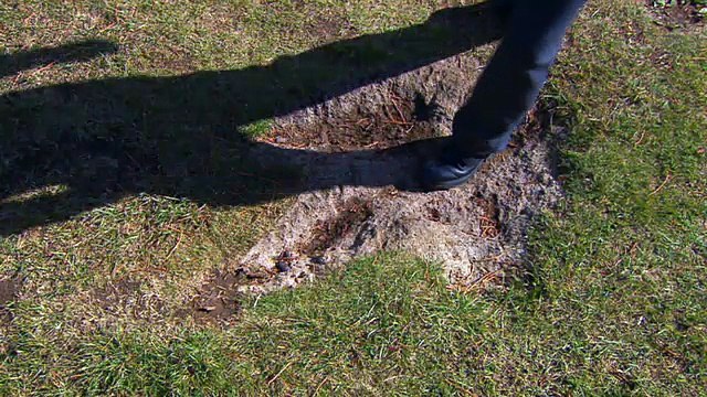 Oxford Discover Level 5 Big Question 1 Why Do We Protect Animals 1