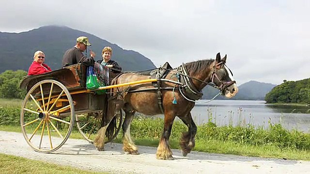 Oxford Discover Level 5 Big Question 3 Why Are Wheels Important 1