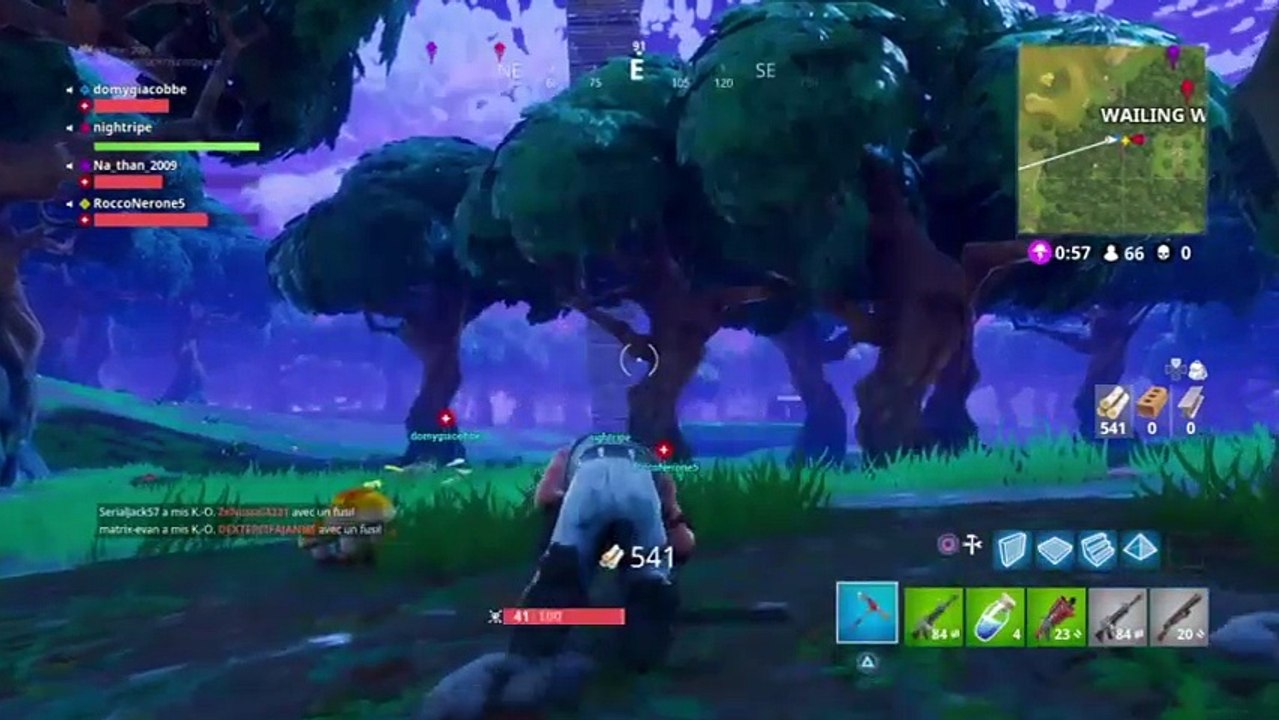 Minecraft PS4 Fortnite duo (60)