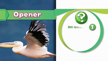 Oxford Discover Level 6 Big Question 7 What Makes Birds Special 1