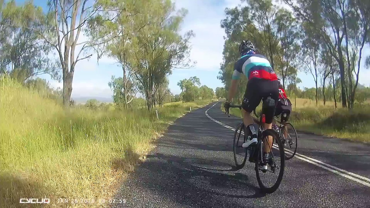 Un kangourou frappe un cycliste. Kangourou 1, cycliste 0